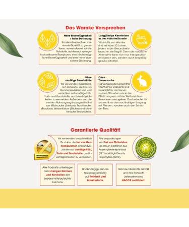 Vitamin B5 500 mg - 100 Vegan Capsules | High Dose Pantothenic Acid | Warnke Vitalstoffe - Premium German Pharmacy Quality - Buy Online on GoSupps.com