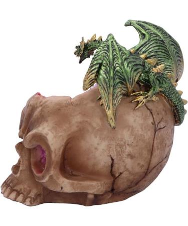 Nemesis Now Crystalline Cranium 15.7cm Pink - Unique and Stunning Home Decor Piece - Buy Online on GoSupps.com