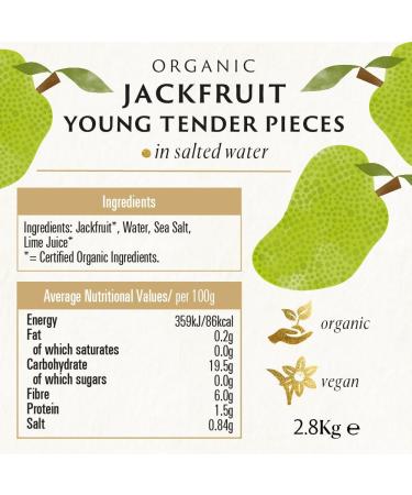 Biona Organic Young Jackfruit In Salted Water 2.8 kg - Buy Online on GoSupps.com