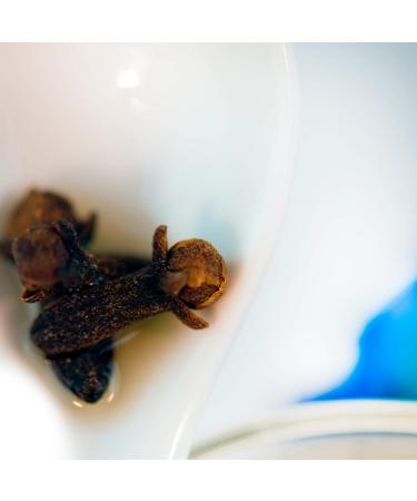 Red Flower Palo Santo Smoothing Hair Conditioner | Nourish & Revitalize Hair | International Shipping Available - Buy Online on GoSupps.com