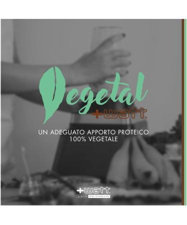 WATT SOY PROTEIN 221 750 g hazelnut - Buy Online on GoSupps.com