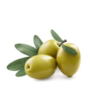 Squalane Oil - 100% Pure Refined Plant-Derived Non-GMO Squalene from Olives - 4 oz Glass Dropper - Hydrating Facial Oil for Skin, Hair & Body - All Skin Types - Buy Online on GoSupps.com