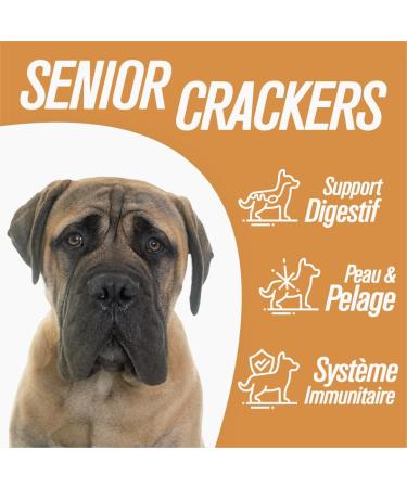 Iso dog - Premium Croquettes for Mature Dogs - Gluten-free - Optimal Digestion - Rich in Chicken - 12kg - GMO-free - 100% Natural Raw Materials (12kg) - Buy Online on GoSupps.com