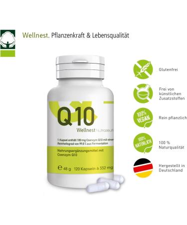Wellnest Coenzyme Q10 100mg | 120 Capsules | Organic Vegan 100% Natural | No Artificial Colors or Flavors - Buy Online on GoSupps.com