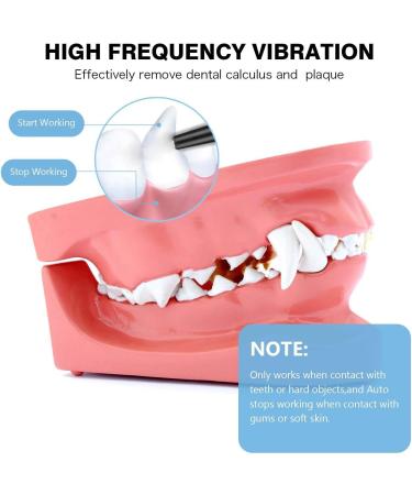 Dog Teeth Cleaning Tools with LED Light 3 Modes Dog Plaque Tartar Remover for Teeth Detachable Teeth Cleaning Kit for Dogs Cats Grey - Buy Online on GoSupps.com
