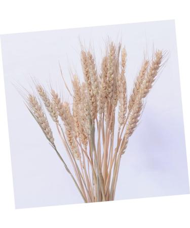 Cabilock Natural Dried Flowers 30 Pcs Natural Artificial Flower Decorative Artificial Flower As Shownx2pcs mediumx2pcs - Buy Online on GoSupps.com