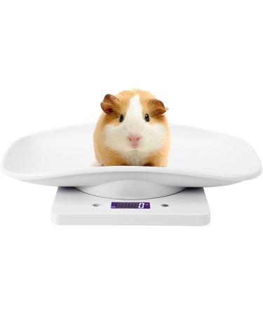 Digital Puppy Scale 10kg 1g Small Pet Weight Scale for Cats Dogs Measure Tool Electronic Kitchen Scale - Buy Online on GoSupps.com