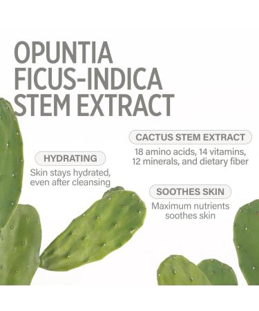 KEYTH OASIS WATER MIST (50ML, 1.69 FL.OZ.) / Moisturization, Skin Hydration, Soothing, Skin Barrier Strengthening, Cactus Stem Extract, 14 Vitamins - Buy Online on GoSupps.com