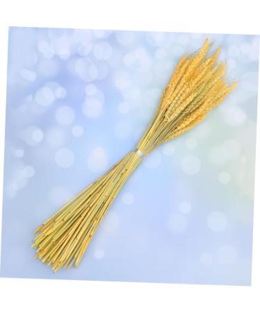 Artibetter 1 Decor Dried Wheat Natural Wheat Dried Flowers Simulation Wheat Rural Wheat Ears of Wheat Flower Basket Golden 15*42cm - Buy Online on GoSupps.com