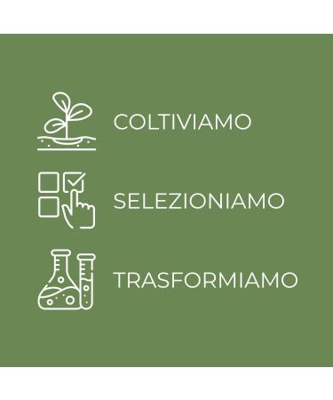  Bottega Verde Olive Sublime - Emollient shower bath - with hyperfermented olive oil and biodegradable surfactants - normal or dry skin - Buy Online on GoSupps.com