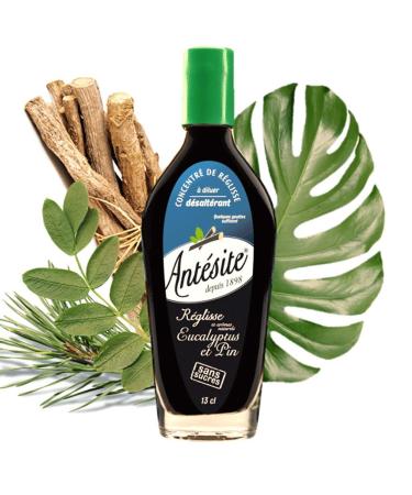 ANTESITE - Boisson diluer dans l'eau r glisse eucalyptus & pin