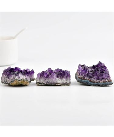Natural Crystal Rough 1/5/10PC 20-30g Natural Purple Brazilian Amethyst Quartz Crystal Cluster Stones Specimen Ornament Home Decor Crafts dingchi (Color : 10pcs) - Buy Online on GoSupps.com