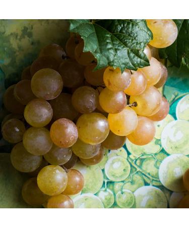 KORRES Renewing Body Cleanser - Santorini Grape 8.45 fl. Oz - Buy Online on GoSupps.com