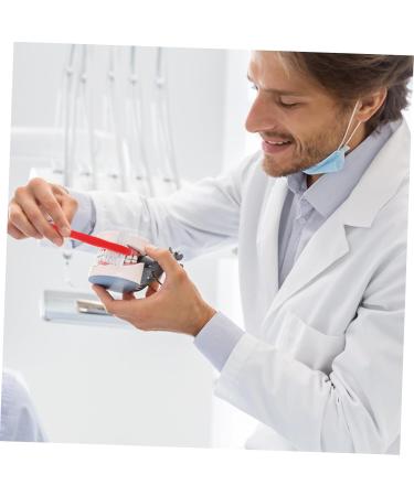 Shop Minkissy 4-Piece Toothbrush Cleaning Tool Set for Prosthesis & Retainers - Portable Dentistry Brushes for Optimal Oral Care - Buy Online on GoSupps.com