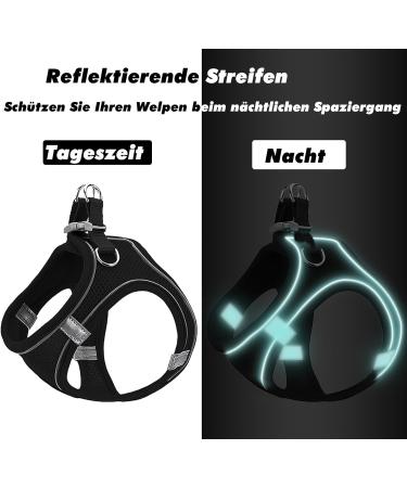 Premium Dog Harness for Small Dogs | Stylish Puppy Tableware & Cat Dishes with Leash | Curli Dog Harness - Perfect for Puppies (Size S Black) - Buy Online on GoSupps.com