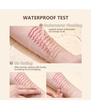  SONGVISON Set of 12 lip pencils with a matte waterproof and long-lasting formula nude and smudge-proof colors (set of 12 units) - Buy Online on GoSupps.com