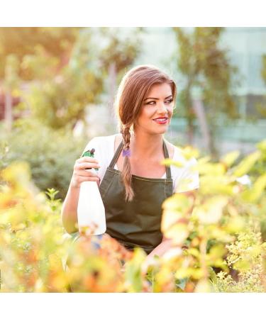 50 Pcs Large Cotton Hair Bands for Thick & Curly Hair - No Metal Ponytail Holders (Candy Colors) - Strong Elastic Hair Ties for Women & Girls - Buy Online on GoSupps.com