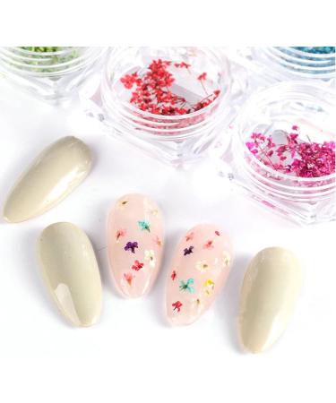 8 Boxes Dried Flowers for Nails | Nail Art Sticker Kit | DIY Nail Decoration Accessories - 8 Colors - Buy Online on GoSupps.com