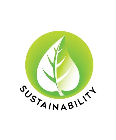 Live Clean Lemon Mint Foaming Hand Soap 13.5 Fl Oz Lemon Mint 13.5 Fl Oz (Pack of 1) - Buy Online on GoSupps.com