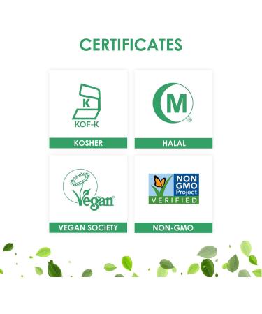 Capsuline Size 3 - Clear Empty Vegan Capsules - 1000 Count - Empty Veggie Pill Capsules - DIY Vegetable Capsule filling - Empty Caps - Kosher and Halal Certified - Non-GMO Certified 1000 count (Pack of 1) - Buy Online on GoSupps.com