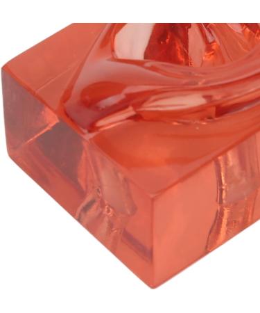 High Simulation Clear Right Ear Display Model - Transparent Acrylic for Observation | International Shipping - Buy Online on GoSupps.com