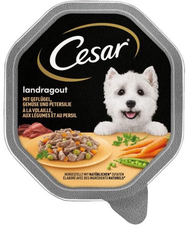Cesar Dog Food Wet Country Kitchen Poultry & Vegetables 14 Bowls (150g each) Savory Sauce Ideal for All Dogs - Buy Online on GoSupps.com