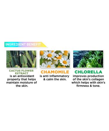 J.CAT BEAUTY Aquasurance Compact Foundation in Golden Beige - Long-lasting Coverage - Buy Online on GoSupps.com