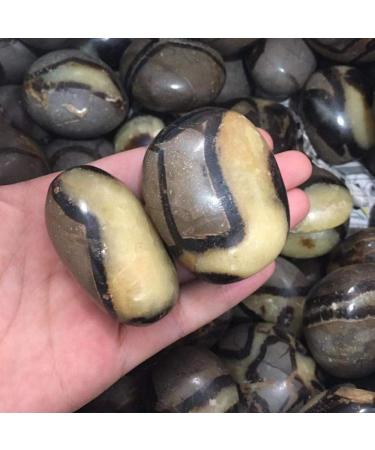 Crystal Natural Palm Stone Quartz Crystal Palm Stone Specimen - Buy Online on GoSupps.com