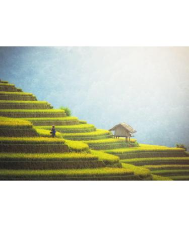 Lais Puzzle Rice fields on the terraces of Mu Cang Chai YenBai Vietnam 500 pieces - Buy Online on GoSupps.com