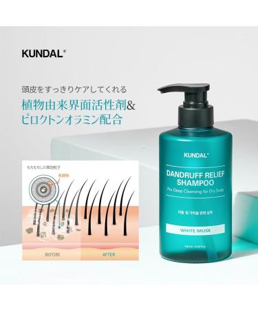 THE SKIN FACTORY CO LTD Kundal Dandruff Relief Shampoo Apple Green Tea - Buy Online on GoSupps.com