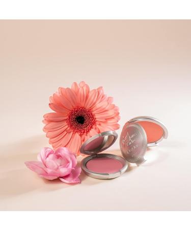 T. LeClerc Rose Sablee Powder Blush - Professional All-Day Wear Flush of Pink Color for Natural & Smooth Cheeks - Buy Online on GoSupps.com