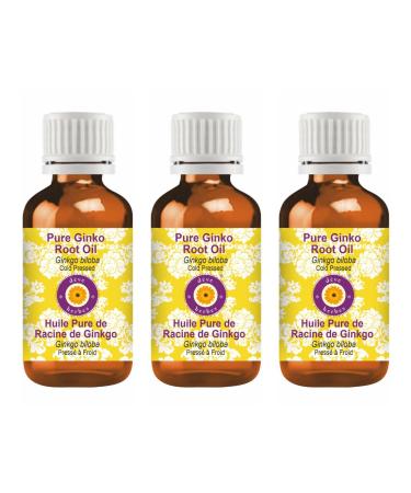 d ve herbes Pure Ginko Root Oil (Ginkgo biloba) Cold Pressed (Pack of Three) 100ml X 3 (10 oz)