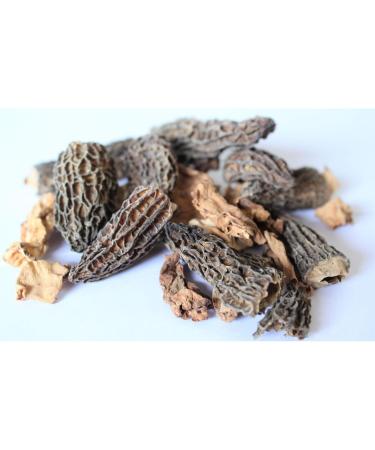 Lot 3x Morille traiteur - Pot 500g Lot de 3 - Buy Online on GoSupps.com