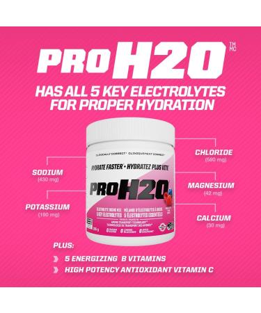 PVL Pro Series PROH2O | Advanced Hydration powder electrolyte powder with 5 key electrolytes no sugar carb free zero calories - 30 serving (255 G Berry Blast) Berry Blast 30 Servings (Pack of 1) - Buy Online on GoSupps.com