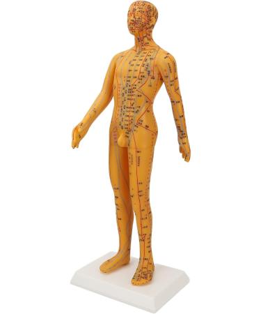 High-Quality Acupuncture Point Body Model - Exquisite Craftsmanship & Practical Accessories for Training - Buy Online on GoSupps.com