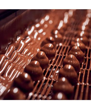  Perugina BACI PERUGINA Coffee Chocolate Fondants stuffed with Gianduia Box 200 g - Buy Online on GoSupps.com