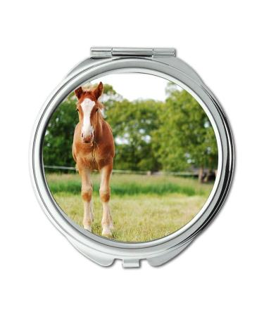 Mirror makeup mirror animal animal photography blur pocket mirror portable mirror