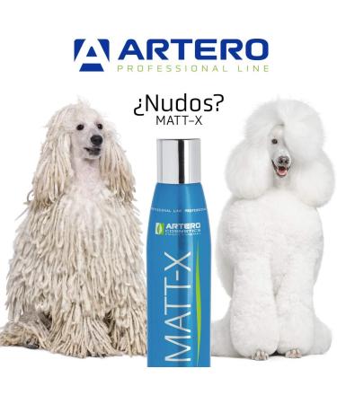 Artero Matt-X - Buy Online on GoSupps.com