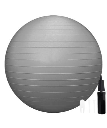 RITHIOX Exercise Ball Yoga Ball - Stability Ball Anti-Slip for Pregnancy Birthing, Anti-Burst Workout Ball with Quick Pump, Balance Ball Chair for Office,Home, Gym 26" Gray