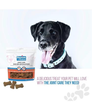 Revive Active Joint Care Soft Chews for Dogs and Cats 90Ct Relieves Inflammation Promotes Optimal Growth and Development Joint Mobility and Good Health. Chews 90ct - Buy Online on GoSupps.com