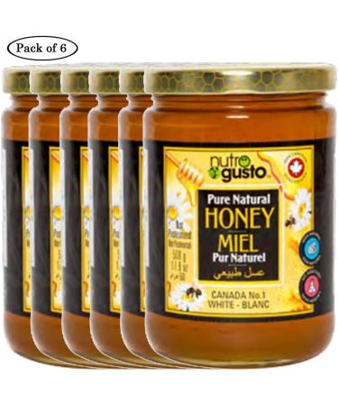 Nutro Gusto Pure Natural Honey 500g (Pack of 6) - Buy Online on GoSupps.com