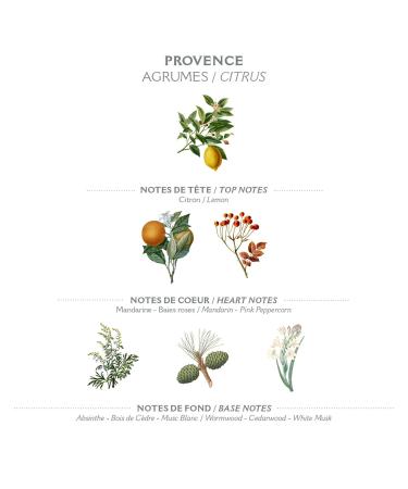 Panier des Sens Marseille Liquid Soap Refill Bag - Provence - 2x500ml - Made in France - Eco-Friendly & Authentic - Buy Online on GoSupps.com