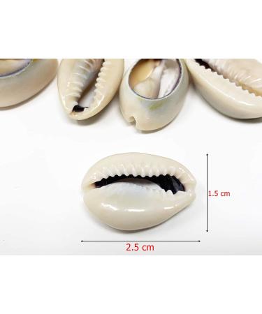 Crispy Collection Sea Shell Hair Beads 2-Pack - Cowrie Dreadlocks Braid Decoration - Buy Online on GoSupps.com