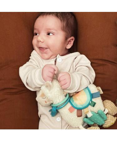 GoSupps.com - Itzy Ritzy Link & Love Activity Plush with Silicone Teether 0+ Months Llama 1 Teether - Buy Online on GoSupps.com