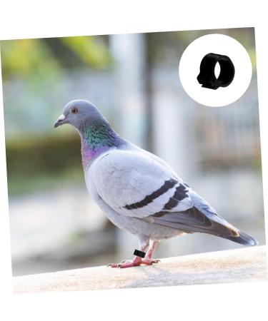 Beavorty 300 pcs Supplies Portable for Identification Clip White Leg Bird Parakeets Band Bands Pigeon Black 1.3X1.3CMx3pcs Blackx3pcs - Buy Online on GoSupps.com