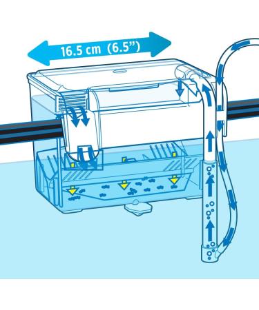 Fluval Medium Multi-Chamber Holding and Breeding Box - Ideal for Fish Breeding and Holding - Buy Online on GoSupps.com