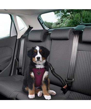 Slowton XXS Dog Harness with Safety Belt for Car - Breathable Latex Fabric - Burgundy - Perfect for Everyday Sports - Buy Online on GoSupps.com