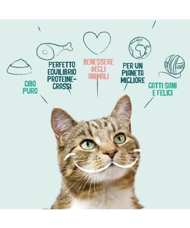 Yarrah Organic Cat Food Pate - Beef & Chicory 100g (Pack of 16) - Premium Quality International Shipping - Buy Online on GoSupps.com