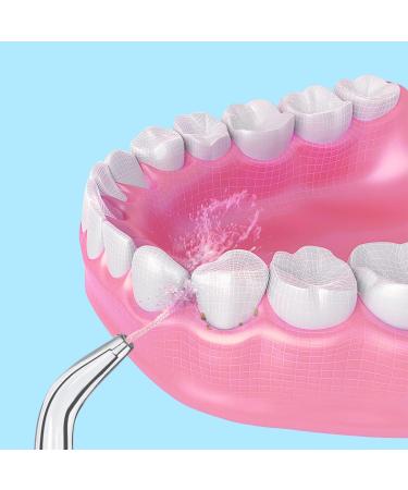 WuYan 4pcs Standard Jet Tips Refills for Waterpik - Classic Replacement Tips for WP100 WP450 WP250 WP300 WP660 WP900 - International Shipping Available - Buy Online on GoSupps.com