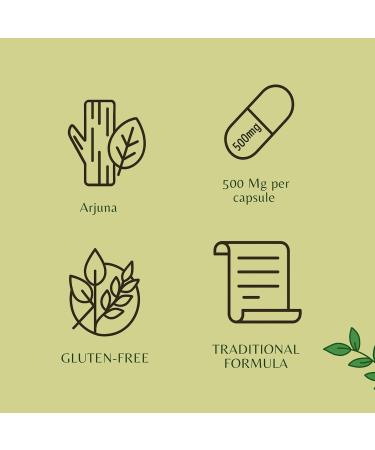 Arjuna Extract 500mg - 60 Vegetarian Capsules| |Terminalia Arjuna Tannis |All Natural | 100% Vegan | Gluten-Free Arjuna 60 Count (Pack of 1) - Buy Online on GoSupps.com